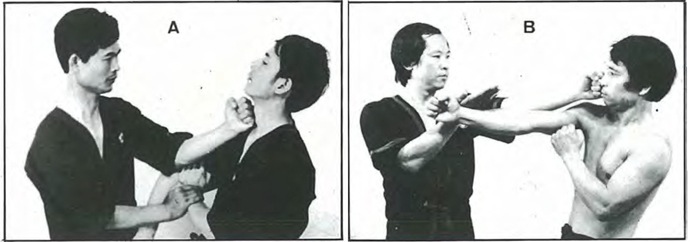 wing-tsun-kuen1